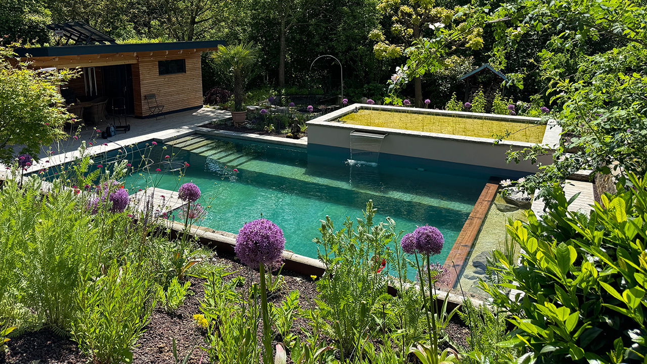 naturpool-schwimmteich-mittags