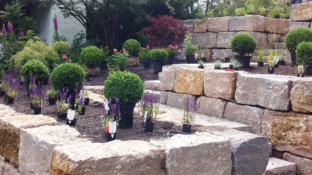 placeholder image-sq