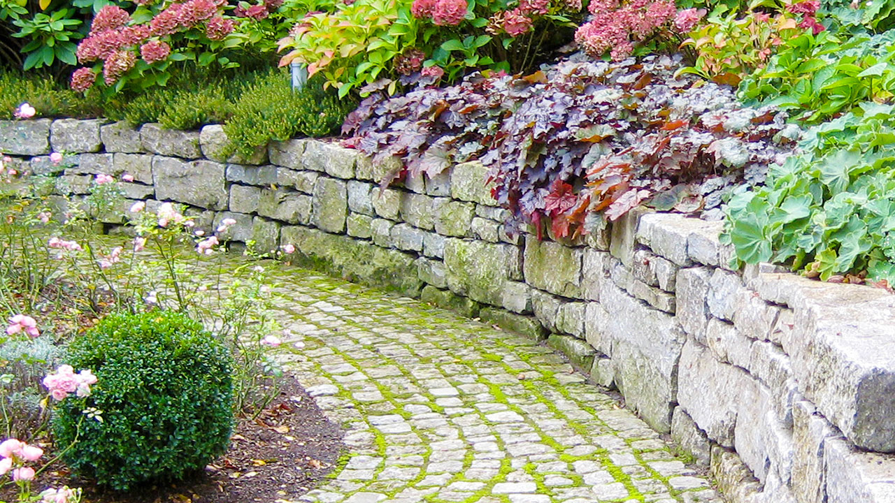 placeholder image-sq