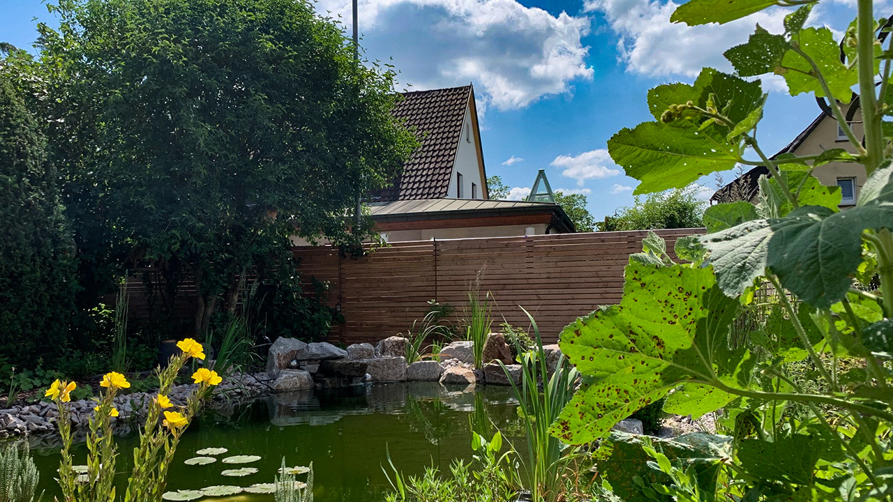 placeholder image-sq